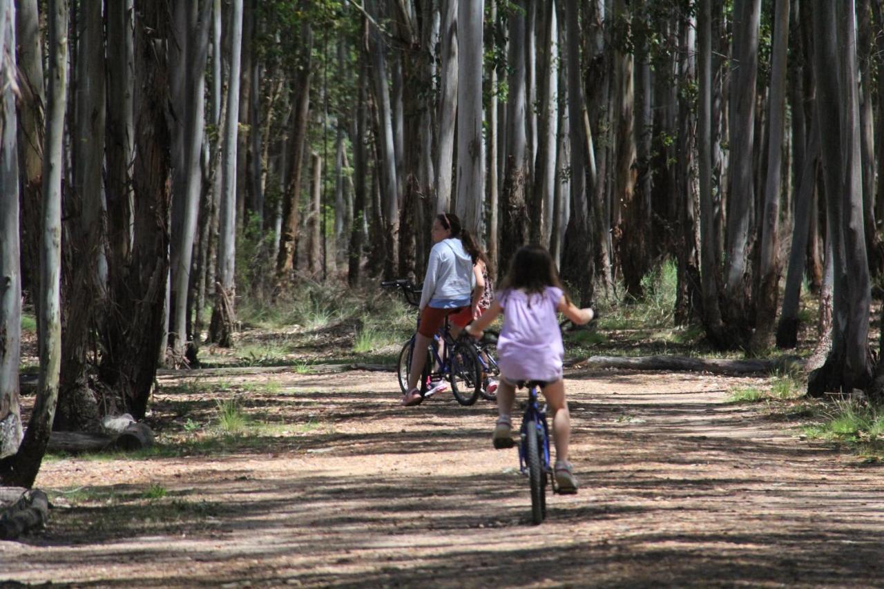 La Reserva De Federacion Luaran gambar